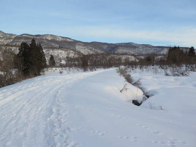 c0116856_17202125.jpg