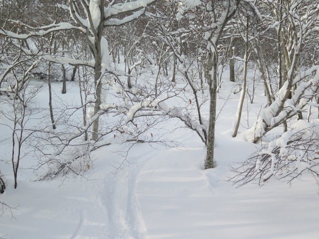 c0116856_1720497.jpg