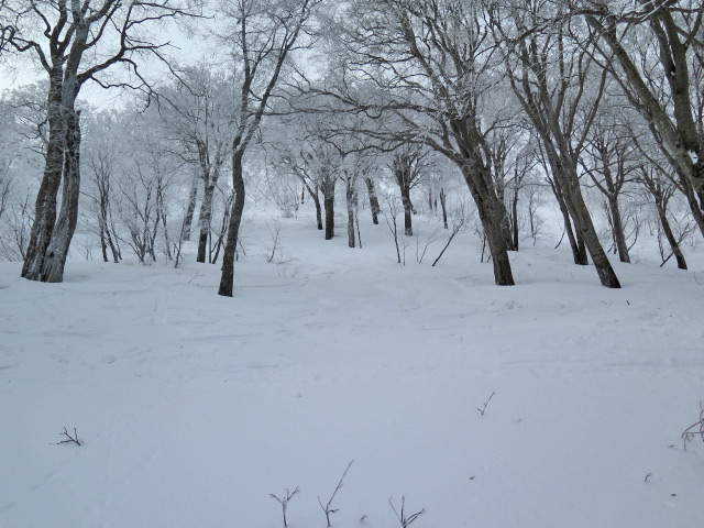 c0116856_1721091.jpg