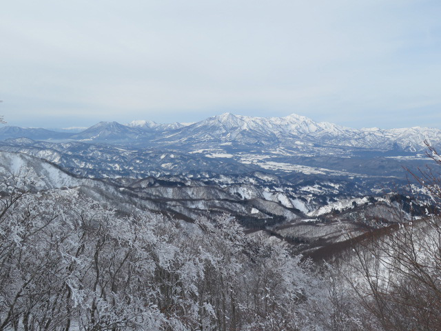 c0116856_17211639.jpg