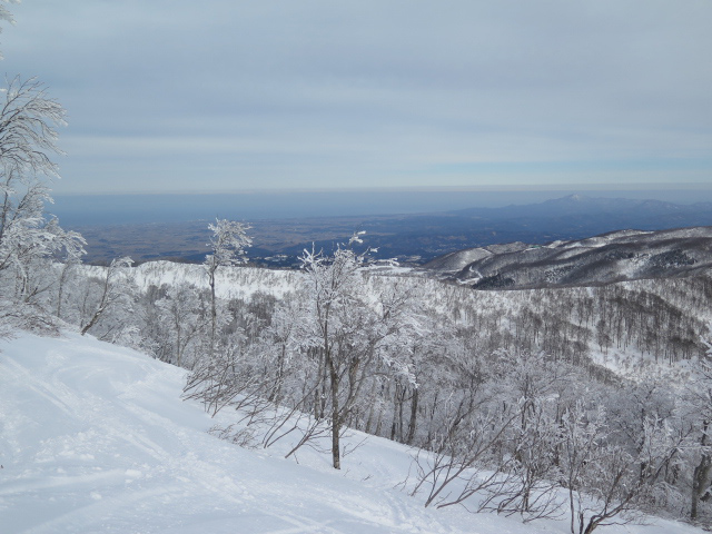 c0116856_17212516.jpg