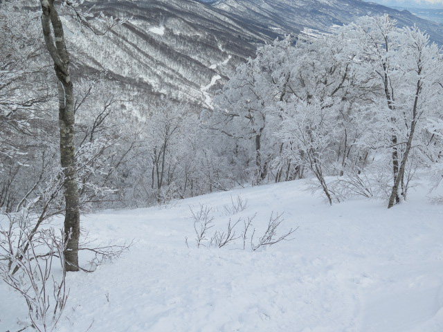 c0116856_17213375.jpg