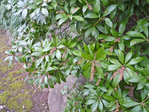 b0045357_14475155.jpg