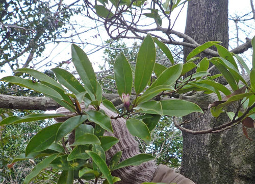 b0045357_14571276.jpg
