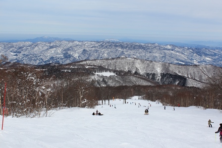 a0208560_1656670.jpg