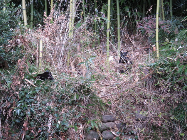 f0032766_01033020.jpg