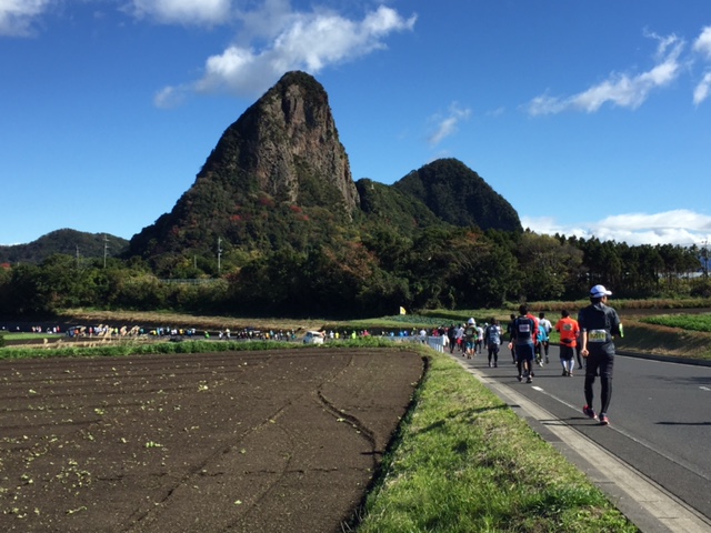 指宿菜の花マラソン_f0067067_20164648.jpg