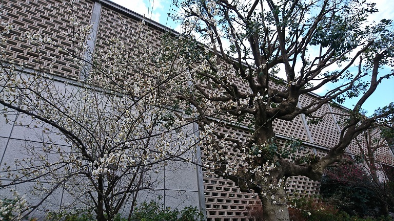 e0006772_21532237.jpg