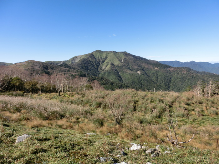b0185573_16533261.jpg