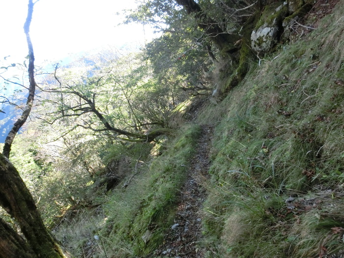 b0185573_1721195.jpg