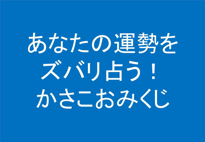 あなたの新年を占う！かさこおみくじ！！！_e0171573_1315860.jpg