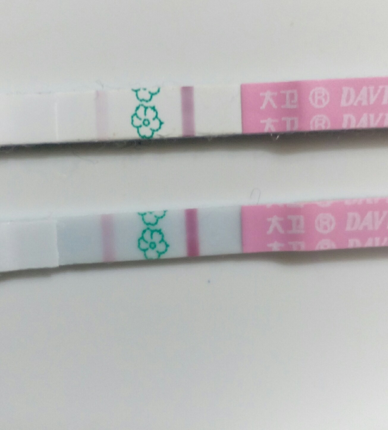 高温期11日目 幻の影 二人目不育症日記