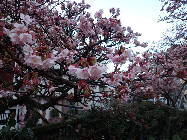 c0286574_17371070.jpg