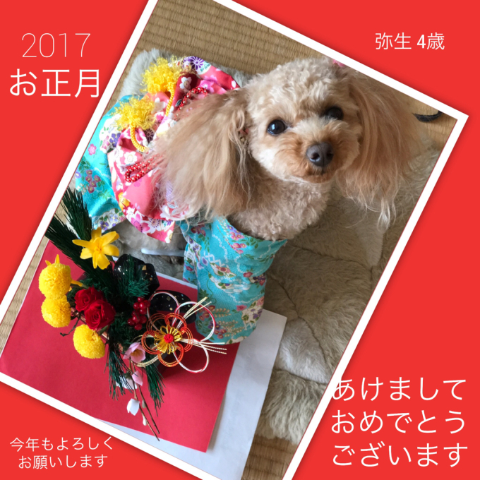 新年初投稿_a0241377_17090730.jpg