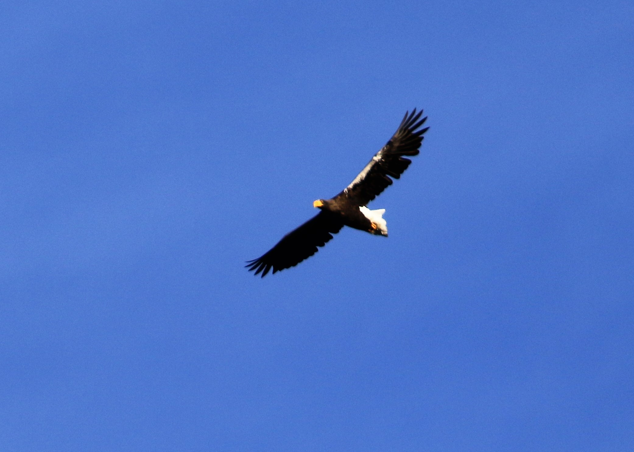 e0018678_14212254.jpg