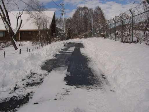 雪道の犬との散歩_e0008887_14102881.jpg