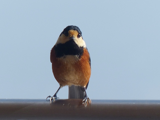 f0357487_2134630.jpg