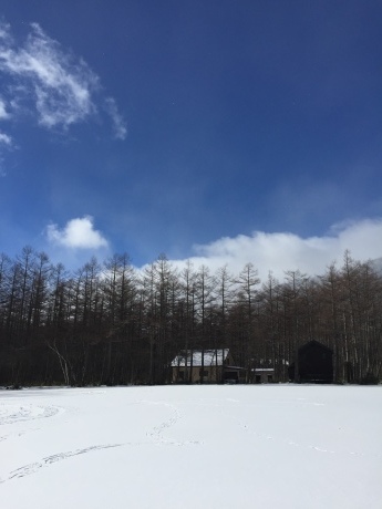 f0314690_15592556.jpg