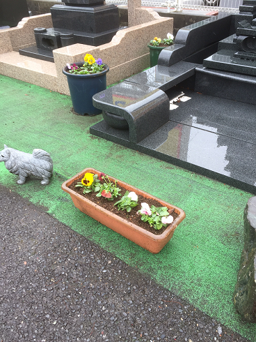 花の植え替え_d0154292_1054423.png