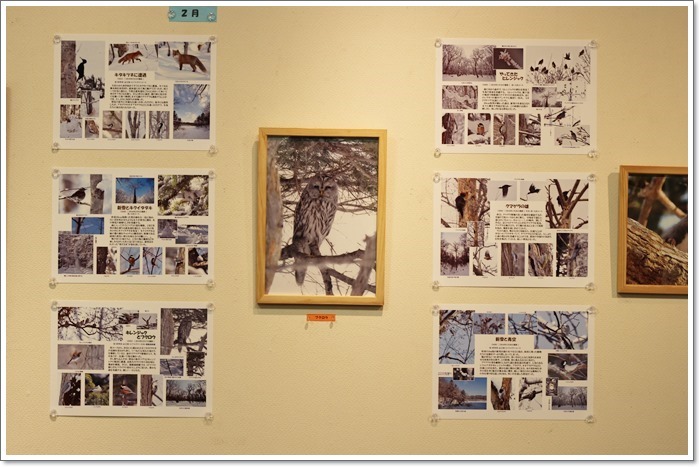 森の写真展(1・8)_f0146493_23024825.jpg