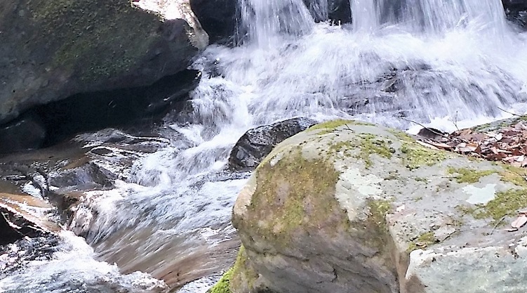 e0309795_21551543.jpg