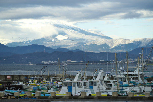 f0233999_20390964.jpg