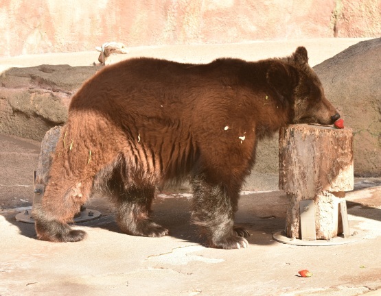 d0090801_20290757.jpg