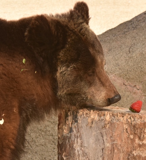 d0090801_20291519.jpg