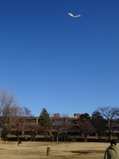 b0249902_19413739.jpg
