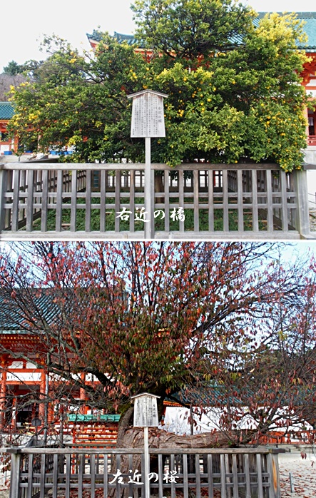 e0039703_15212780.jpg