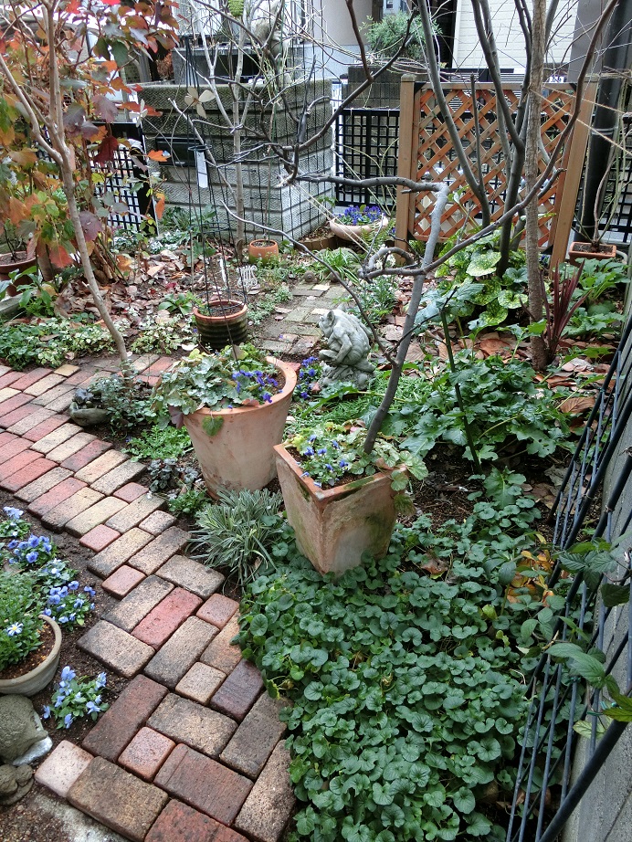 e0234004_20111067.jpg