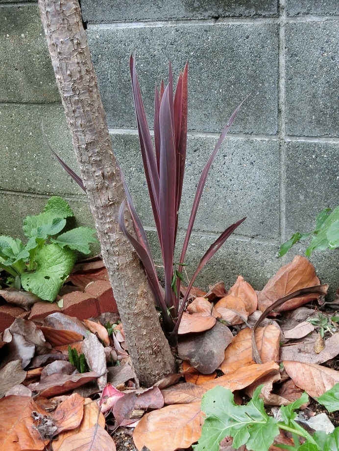 e0234004_20114432.jpg