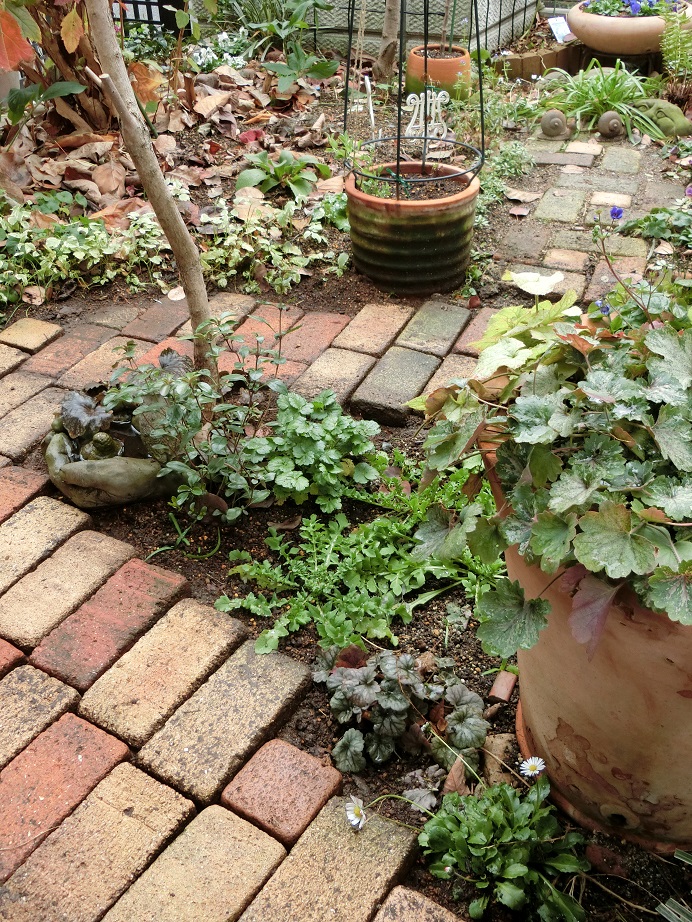 e0234004_20115390.jpg