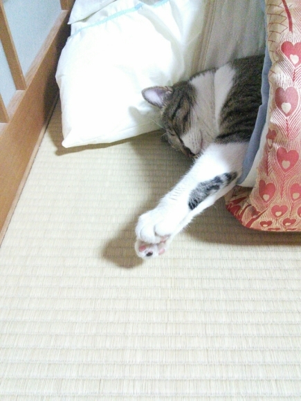 b0307008_08145273.jpg