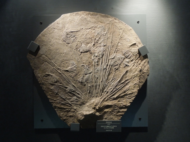 f0297809_21255067.jpg