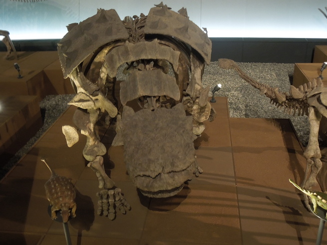 f0297809_21334579.jpg