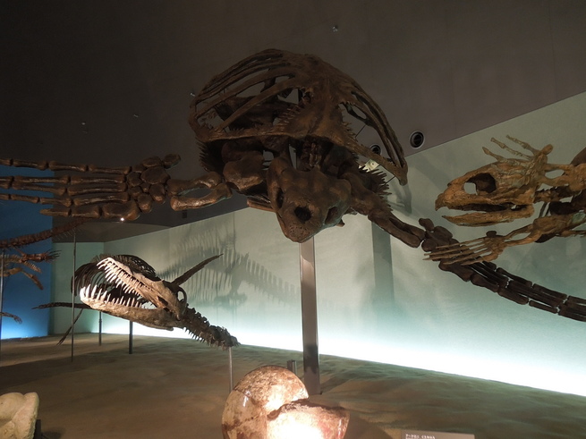 f0297809_21343441.jpg