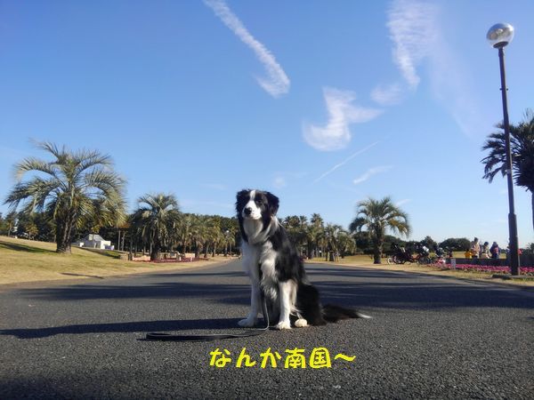 d0224111_20275852.jpg