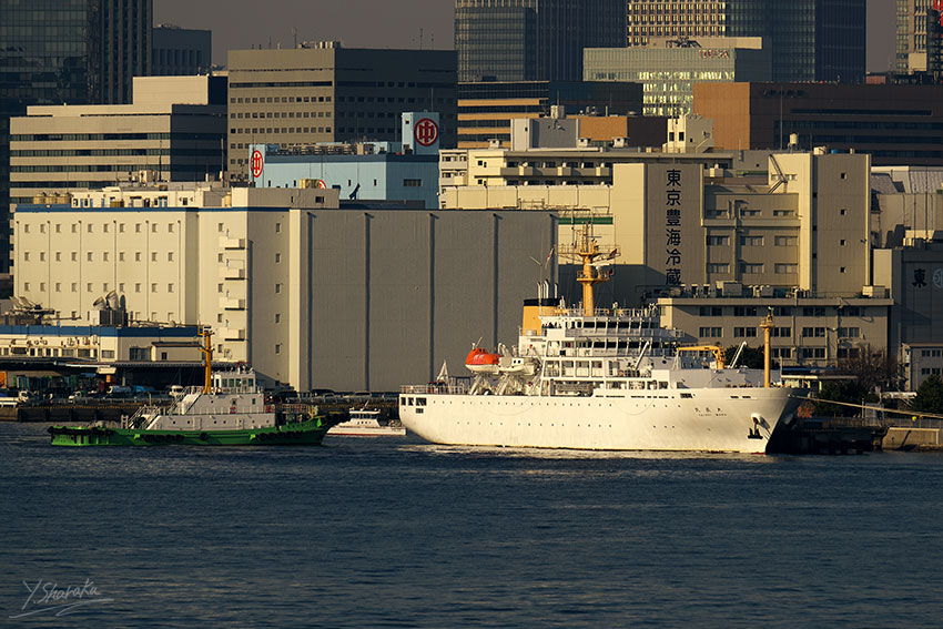 f0344614_13261021.jpg