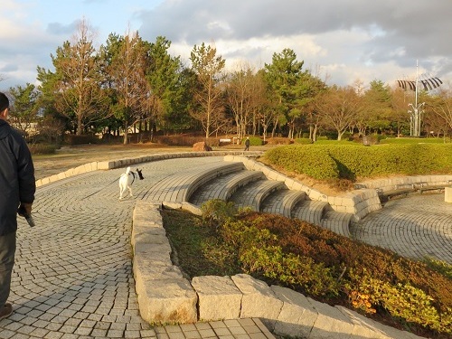 c0084117_2155631.jpg