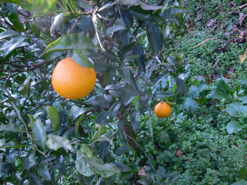 a0125419_14295852.jpg