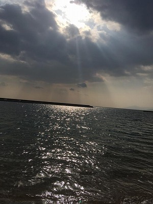 b0138522_17125219.jpg