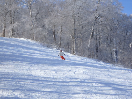 f0362524_17292936.jpg