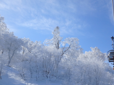 f0362524_17322591.jpg