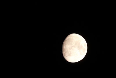 b0069126_2112323.jpg
