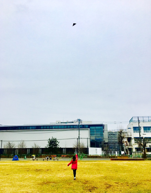 Flying Like a Bird_a0168628_12193819.jpg