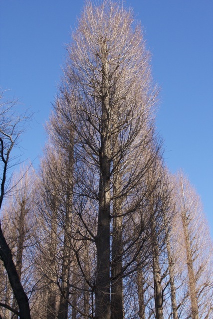 e0021328_01231337.jpg
