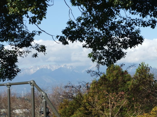 菜の花と富士山..(吾妻山)_b0137932_14230052.jpg