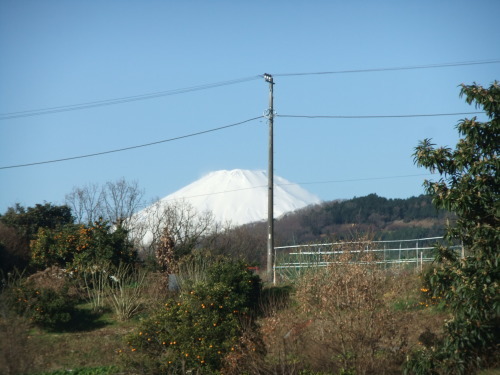 野菜畑に..初出動_b0137932_16520065.jpg