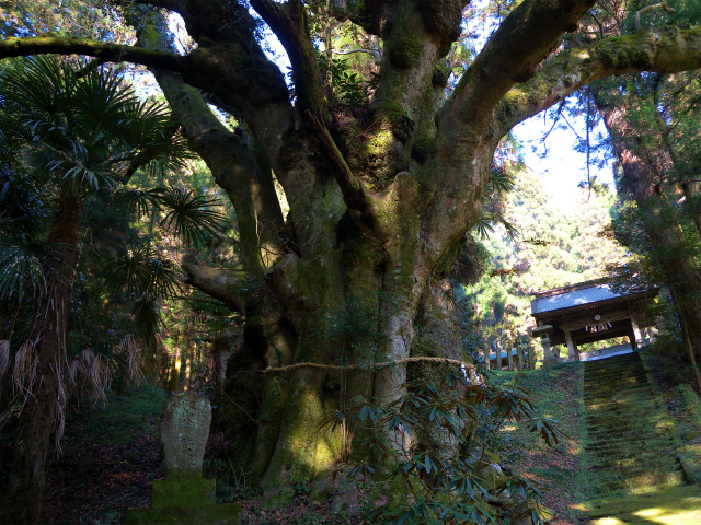 今年こそ&籾山神社_e0272335_1603959.jpg